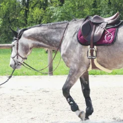 Best Equiline - Bonnet long pour chevaux Noir