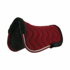 Equithème - Amortisseur de dos Jump Pro /blanc Bordeaux Outlet