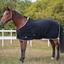 New Equithème - Chemise polaire Polyfun 280g Noir