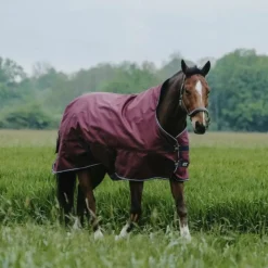 Equithème - Couverture d'extérieur Tyrex 1200D High Neck 0g Bordeaux