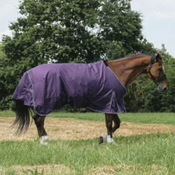 Equithème - Couverture Tyrex Aisance 600D prune 50g Violet Sale