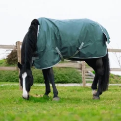 Clearance Equithème - Couure Tyrex 600D recyclée 50g Vert