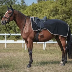 Equithème - Couvre-reins "Polyfun" 280g Noir Outlet