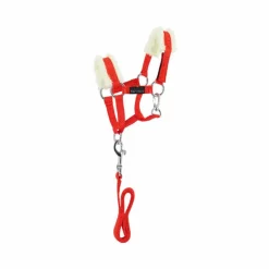 Equithème - Ensemble licol + longe pour mini poney Rouge Hot