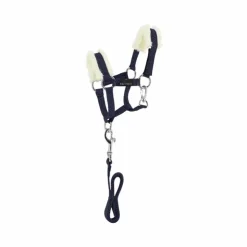 Equithème - Ensemble licol + longe pour mini poney Marine Clearance