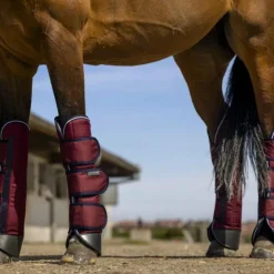 Best Equithème - Guêtres de transport Tyrex 1200D renforcées Bordeaux