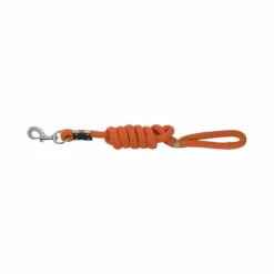 Sale Equithème - Laisse pour chien Rio Orange