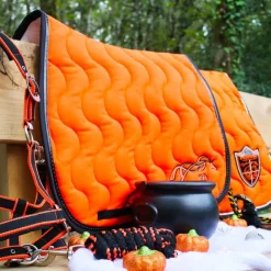 Hot Equithème - Licol + longe Satiné noir/ Orange