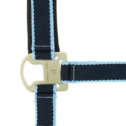 Equithème - Licol + longe Satiné /ciel Marine Best