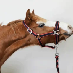 Equithème - Licol + longe Satiné /fuchsia Marine