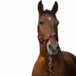 Equithème - Licol et longe tressé fuchsia/ gris/ noir Hot