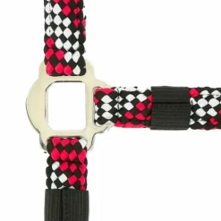 Equithème - Licol et longe tressé fuchsia/ gris/ noir Hot