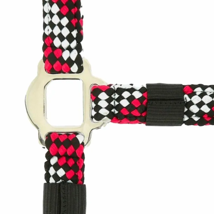 Equithème - Licol et longe tressé fuchsia/ gris/ noir Hot