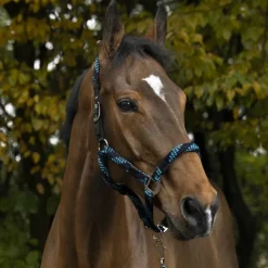 Equithème - Licol et longe tressé turquoise/ / noir Marine Outlet