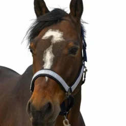 Equithème - Licol nylon Check / noir Marine Outlet