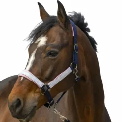 Equithème - Licol nylon Check Marine Hot