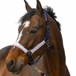 Equithème - Licol nylon Check / rose Marine New