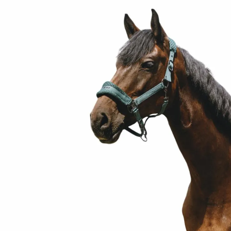 Equithème - Licol Nylon 3D Mesh Vert Online