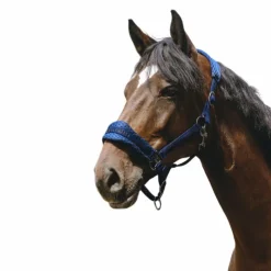 Equithème - Licol Nylon 3D Mesh roi Bleu Best