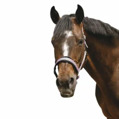 Sale Equithème - Licol Nylon Jacquard Rose