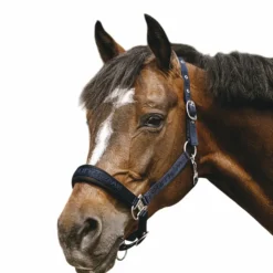 New Equithème - Licol Nylon Jacquard Marine