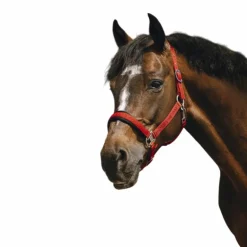 Equithème - Licol Nylon Jacquard Rouge Sale