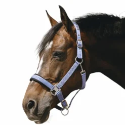 Equithème - Licol Nylon Jacquard ciel Bleu Online