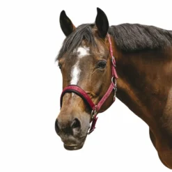 Equithème - Licol Nylon Jacquard Bordeaux Clearance