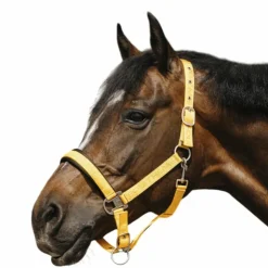 Equithème - Licol Nylon Jacquard Or Clearance