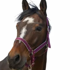 Equithème - Licol nylon Light Bordeaux Best