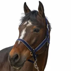 Hot Equithème - Licol nylon Light Marine