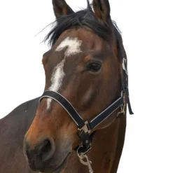 Equithème - Licol nylon Light Noir Discount