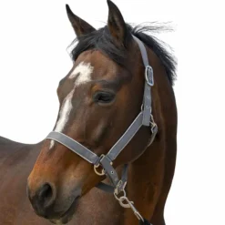 Hot Equithème - Licol nylon Light Gris