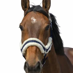 Equithème - Licol nylon Mouton / blanc Marine Best