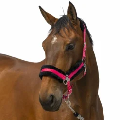 Hot Equithème - Licol nylon Mouton / noir Rose