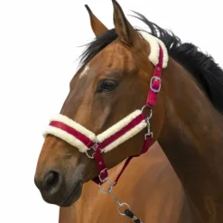 Equithème - Licol nylon Mouton / blanc Bordeaux Online