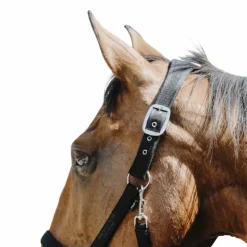 Hot Equithème - Licol Nylon Protector Noir