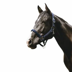 Hot Equithème - Licol Nylon Protector Marine