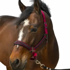 Equithème - Licol nylon Strass Bordeaux New