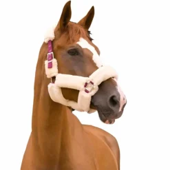 Equithème - Licol Teddy / écru Bordeaux Best