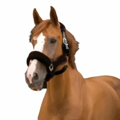 Discount Equithème - Licol Teddy / marron Vert