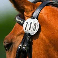 Clearance Equithème - Numéro de départ 3 chiffres rond