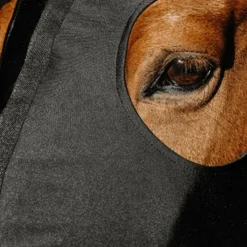 Equithème - Protection de cou intégrale polaire Noir Discount