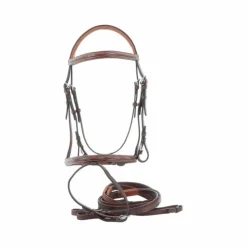 Eric Thomas - Bridon hybrid forme Havane Discount