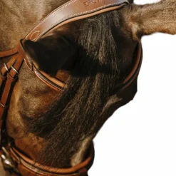 Eric Thomas - Bridon Work Havane Hot