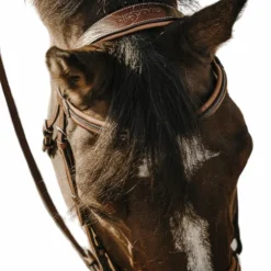 Eric Thomas - Bridon Work Havane Hot