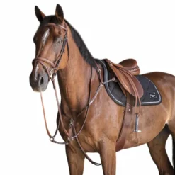 Best Eric Thomas - Collier de chasse Hybrid Havane