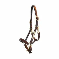 Online Eric Thomas - Licol cuir Grooming Havane