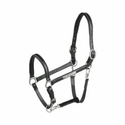 Sale Eric Thomas - Licol cuir Grooming Noir