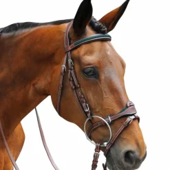 Flags & Cup - Bridon combiné Paris avec rênes marron/ vert Havane Sale